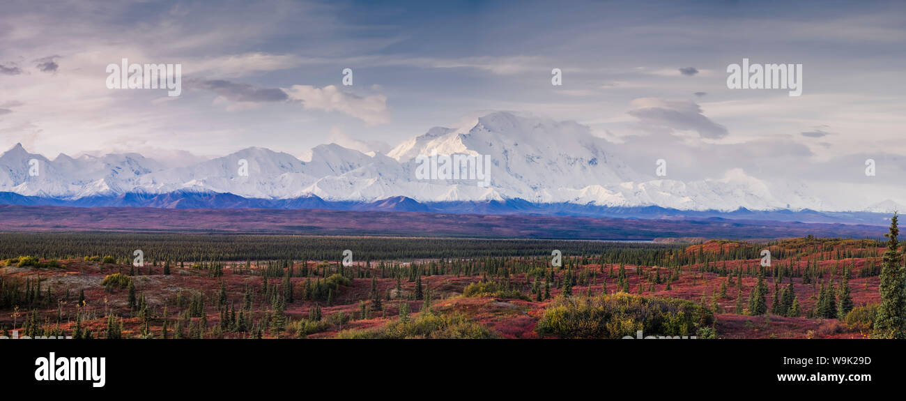 Panoramic landscape of the Denali Mountain (Mount McKinley), Denali National Park, Alaska, United States of america, North America Stock Photo