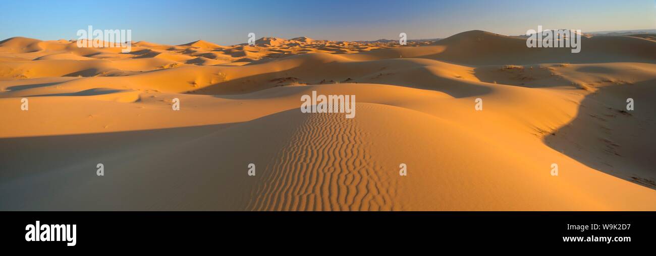 View across sand dunes of the Erg Chebbi, Sahara Desert near Merzouga, Morocco Stock Photo