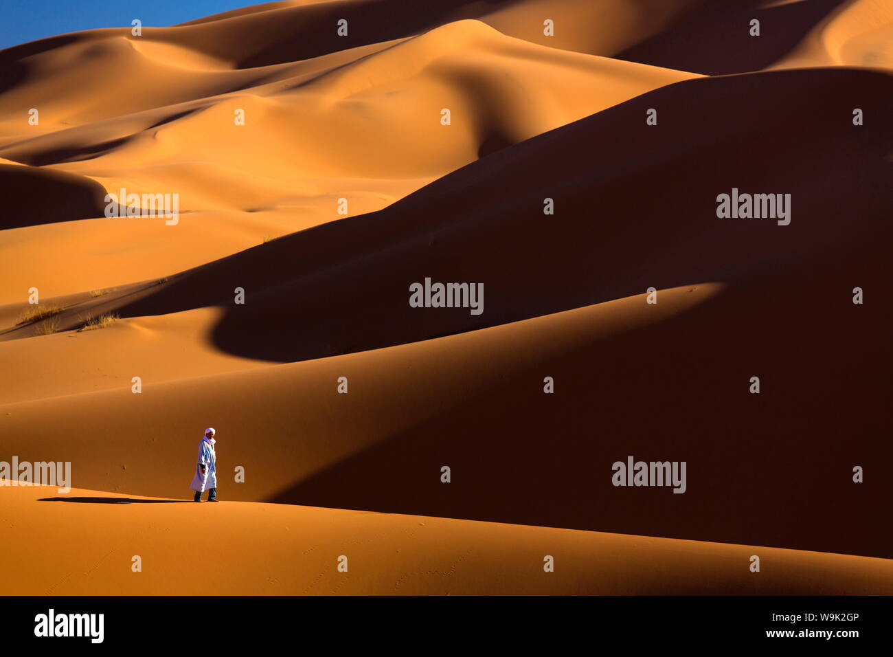 Berber man walking among the orange sand dunes of the Erg Chebbi sand sea, Sahara Desert near Merzouga, Morocco, North Africa, Africa Stock Photo