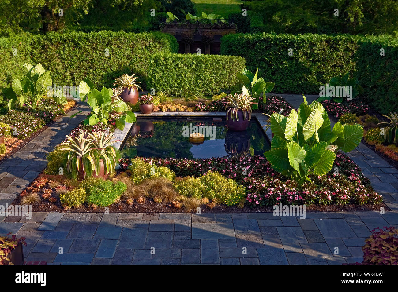 outdoor garden; pond; reflections, square flower bed; slate pathway