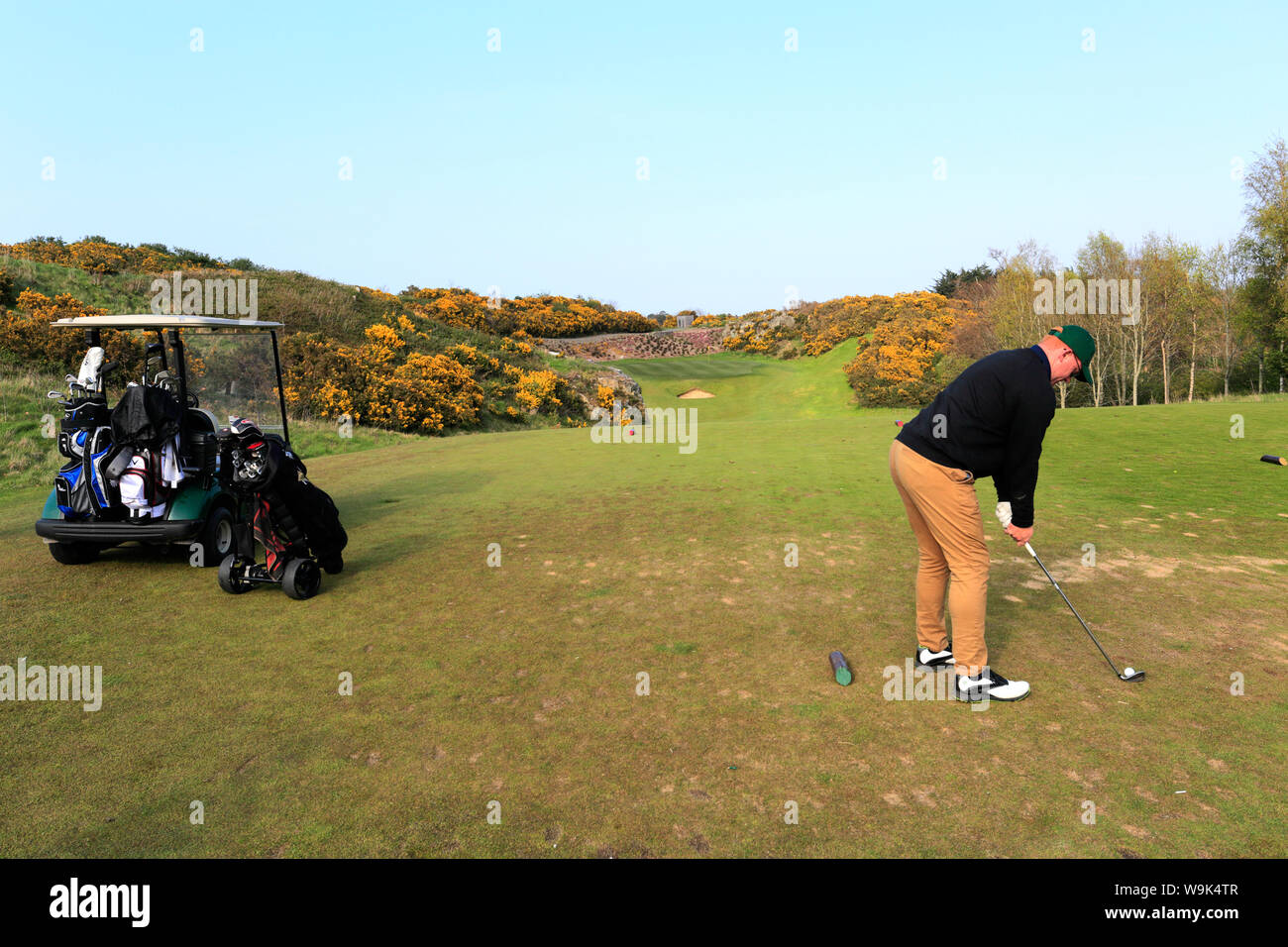 Golfers on the Druids Heath golf course, Druids Glen golf resort, County  Wicklow, Republic of Ireland Stock Photo - Alamy