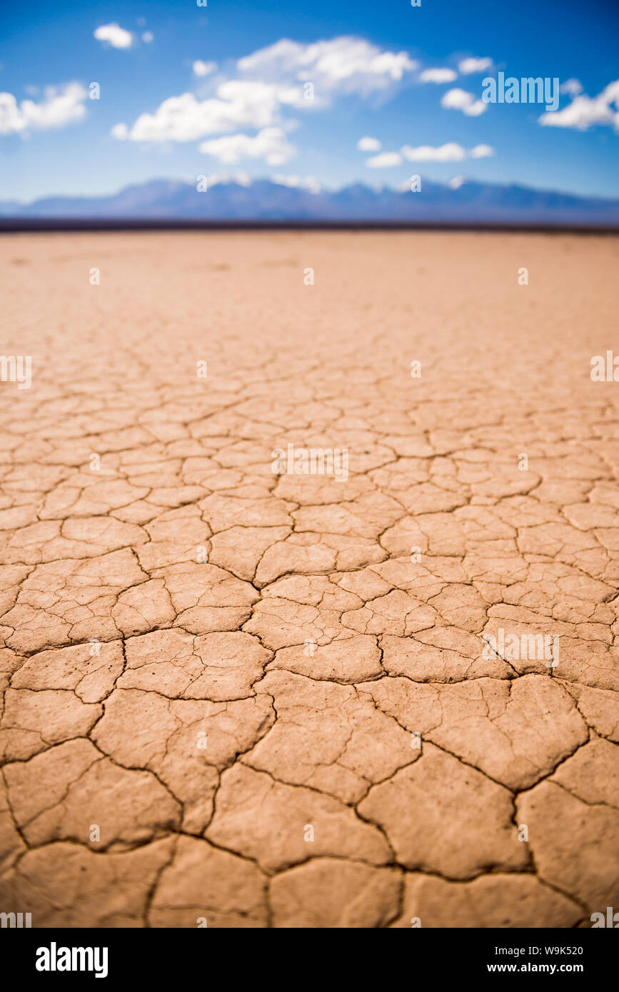 El Barreal Blanco de la Pampa del Leoncito, a dried river bed at Barreal, San Juan Province, Argentina, South America Stock Photo