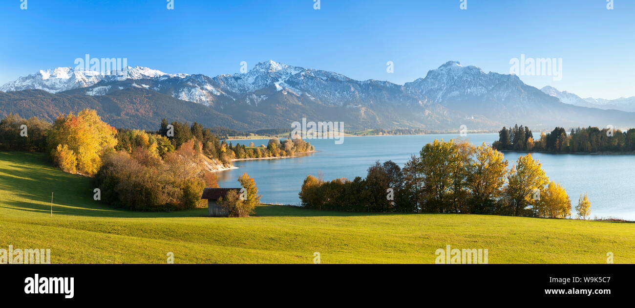 View over Lake Forggensee to the Alps, Allgau, Bavaria, Germay, Europe Stock Photo