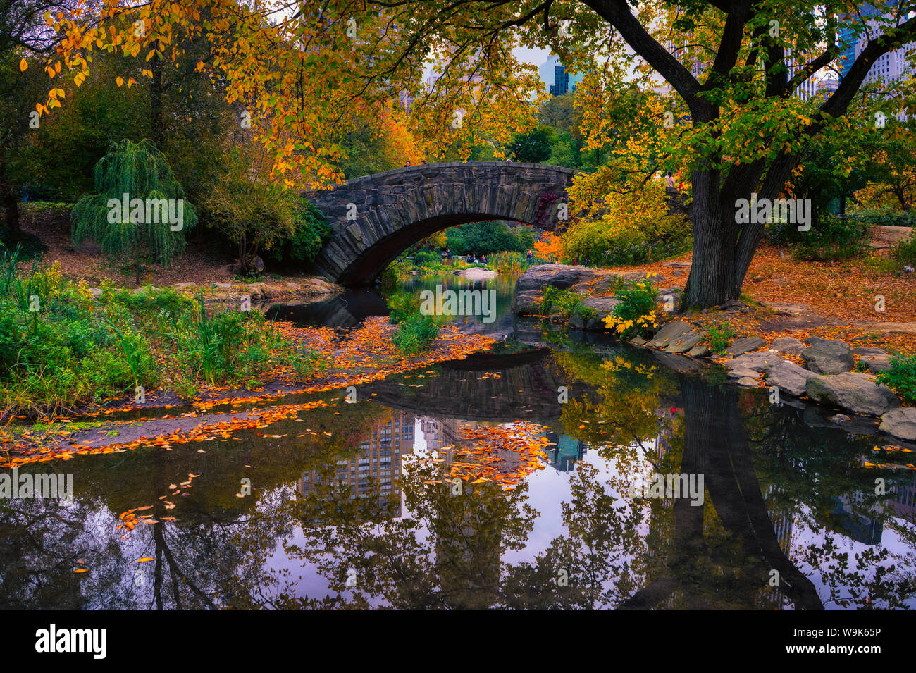 Central Park, New York City, United States of America, North America Stock Photo