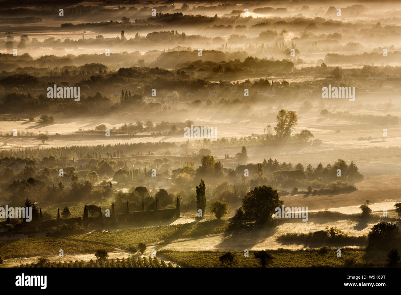 Dawn light reveals the mist lying among the fields and trees in the Luberon valley on an autumn morning, Vaucluse, Provence, France, Europe Stock Photo
