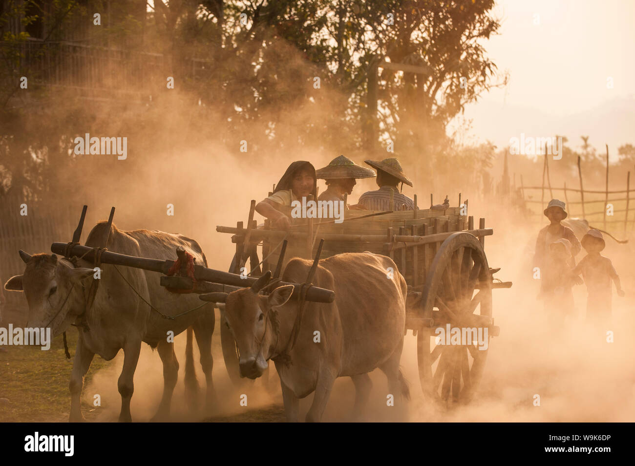 A bull cart kicks up a cloud of dust on the road to Indawgyi Lake, Kachin State, Myanmar (Burma), Asia Stock Photo