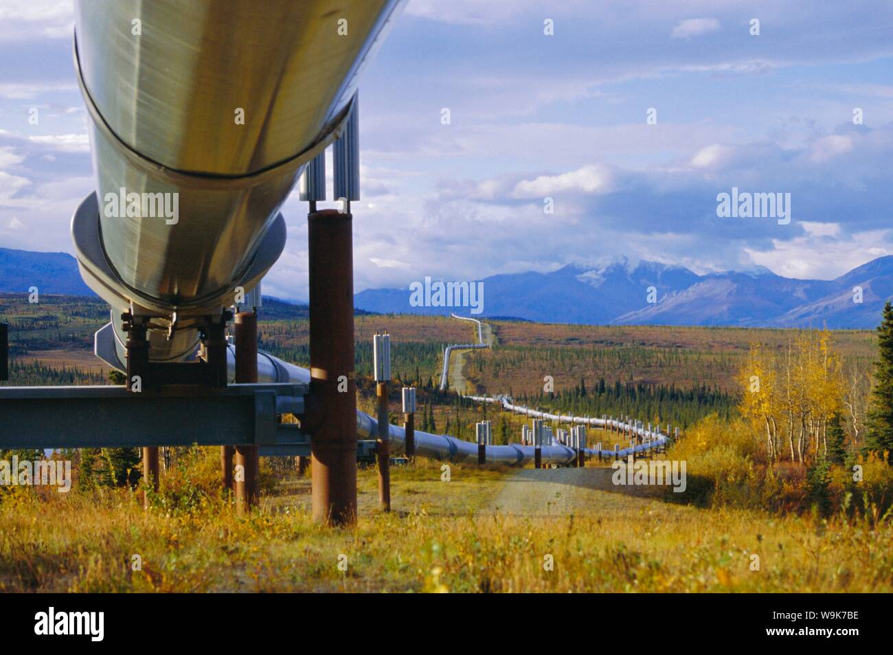Trans Alaska oil pipeline across taiga through Alaskan Range carried on insulated ground piles, Alaska, USA Stock Photo