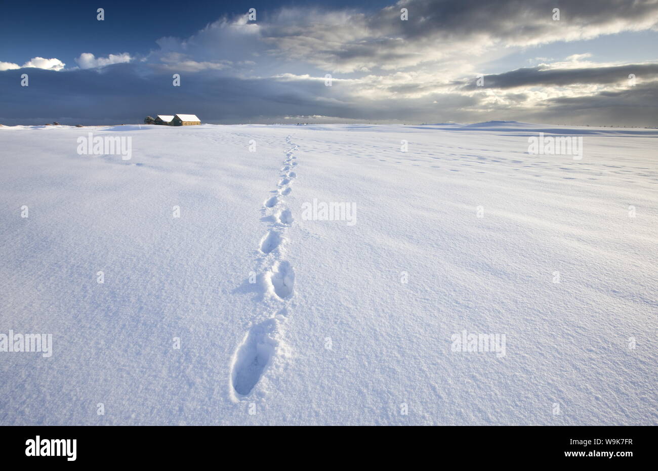 Footsteps in freshly-fallen snow leading off into distance towards dramatic winter sky, Alnmouth, near Alnwick, Northumberland, England, UK Stock Photo