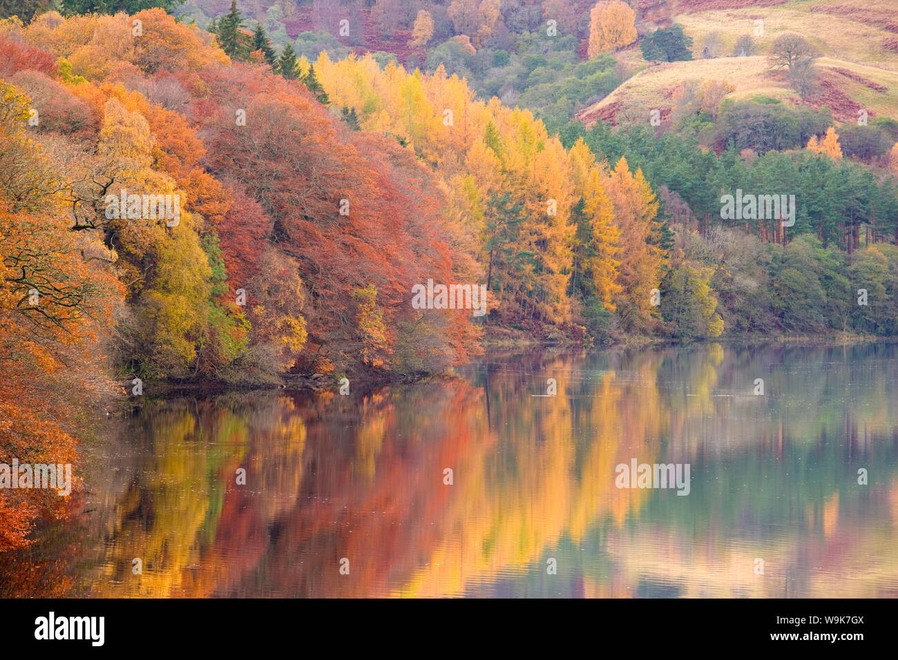Autumn colour on the banks of the River Tummel near Pitlochry, Scotland, United Kingdom, Europe Stock Photo
