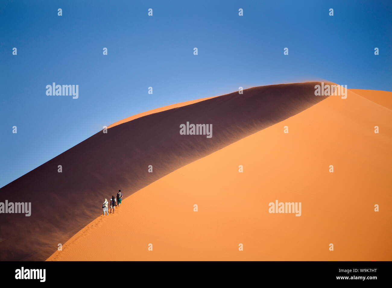 Tourists walking up the snaking ridge of Elim Dune against blue sky, Namib Desert near Sesriem, Namib Naukluft Park, Namibia, Africa Stock Photo