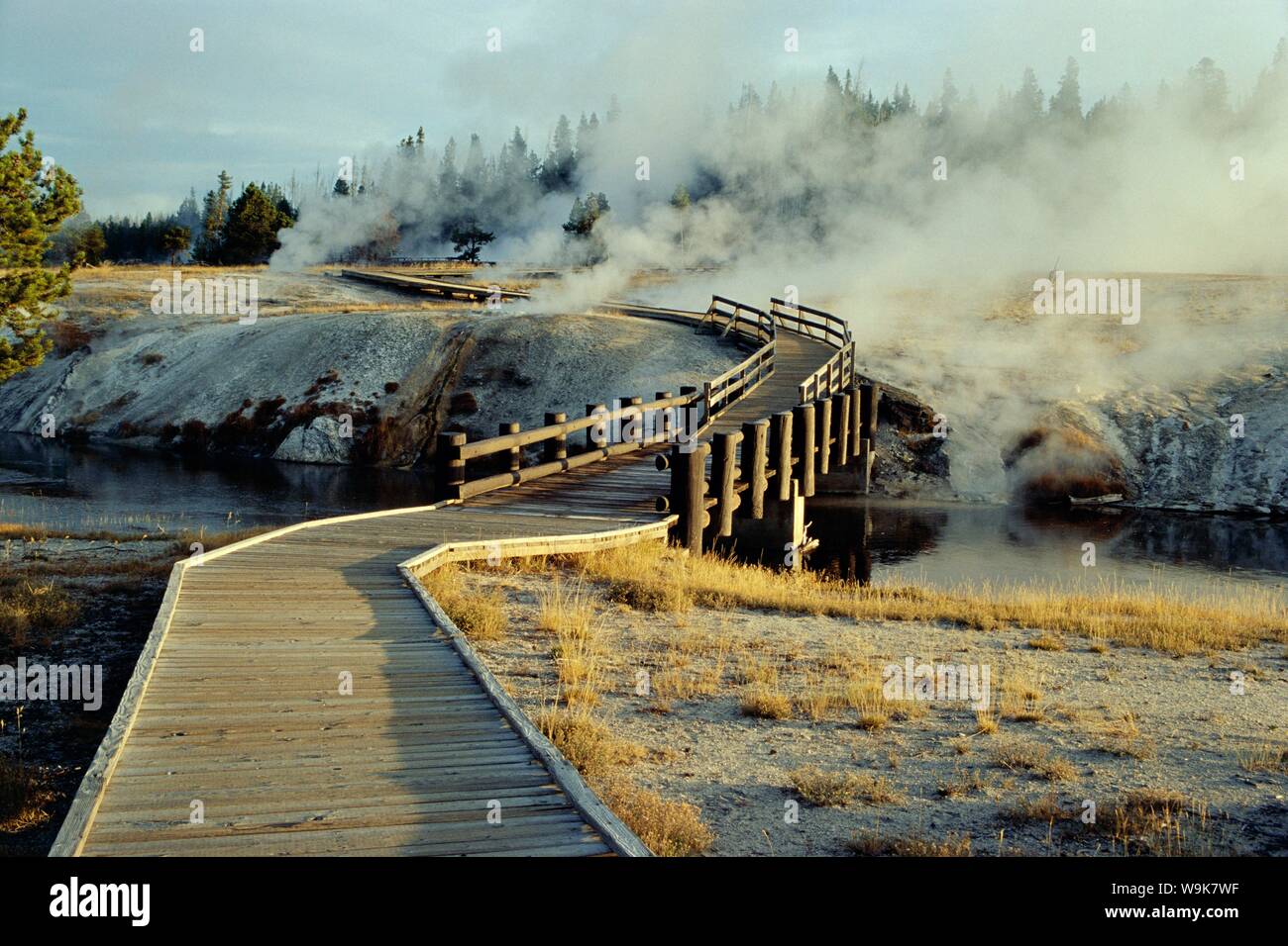 Walkway, Upper Geyser Basin, Yellowstone National Park, UNESCO World Heritage Site, Wyoming, United States of America (U.S.A.), North America Stock Photo