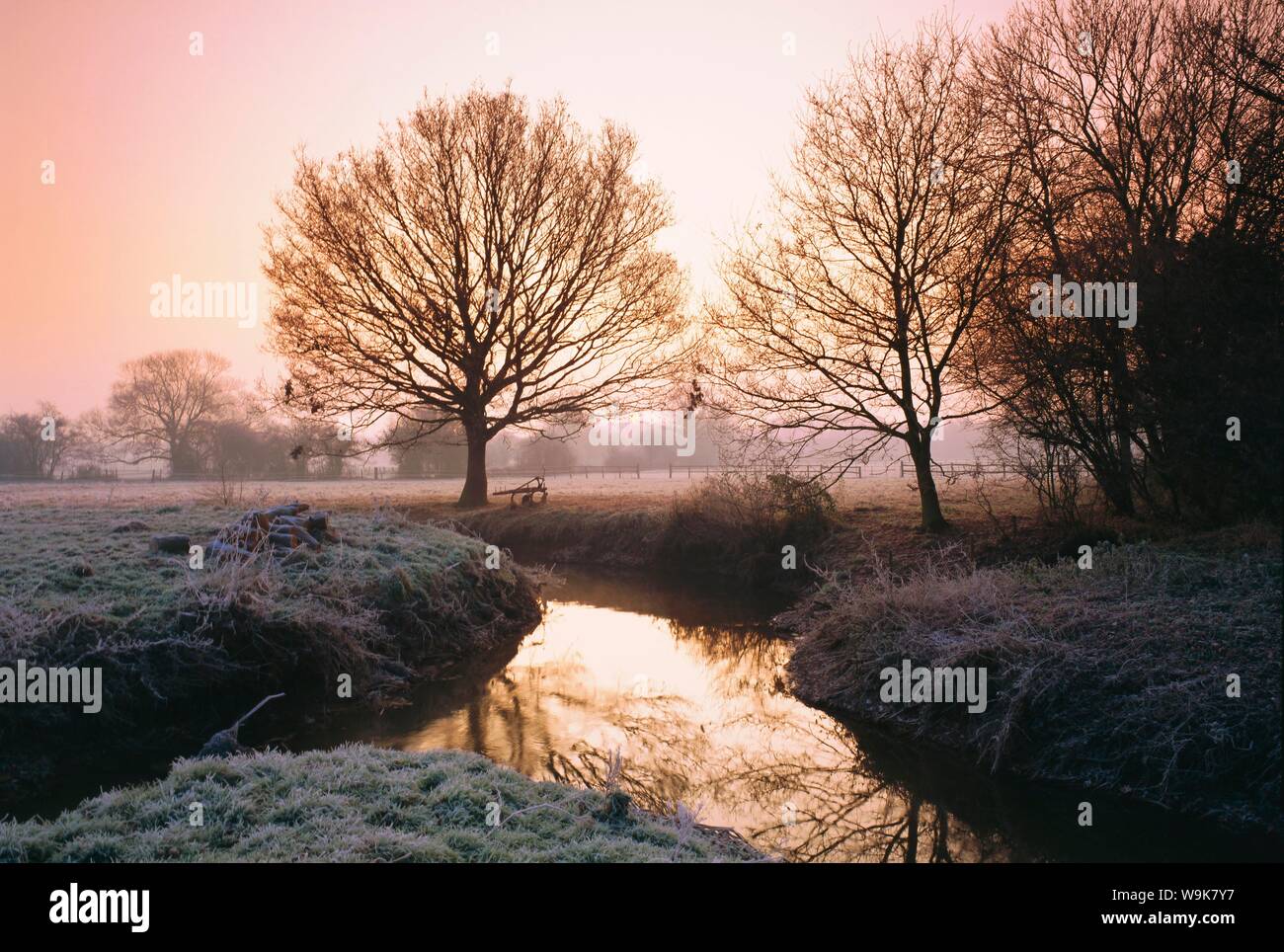 Winter dawn on the River Bourne, Chobham, Surrey, England, UK Stock Photo