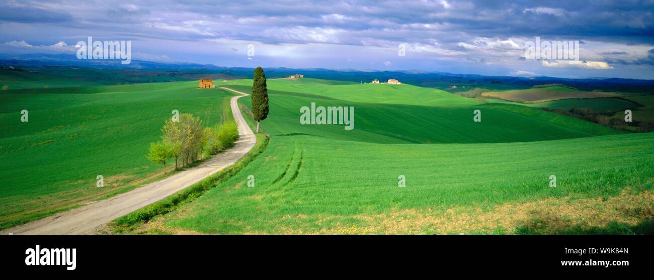 Road running through open countryside, Orcia Valley, Siena region, Tuscany, Italy Stock Photo