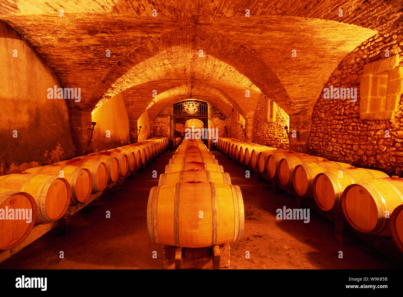 Barrels of wine, France, Europe Stock Photo