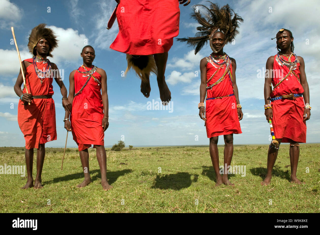 Masai performing warrior dance, Masai Mara, Kenya, East Africa, Africa Stock Photo