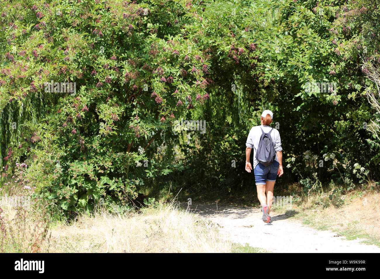 Marcheuse sur un sentier en forêt. / Walking on a path in the forest. Stock Photo