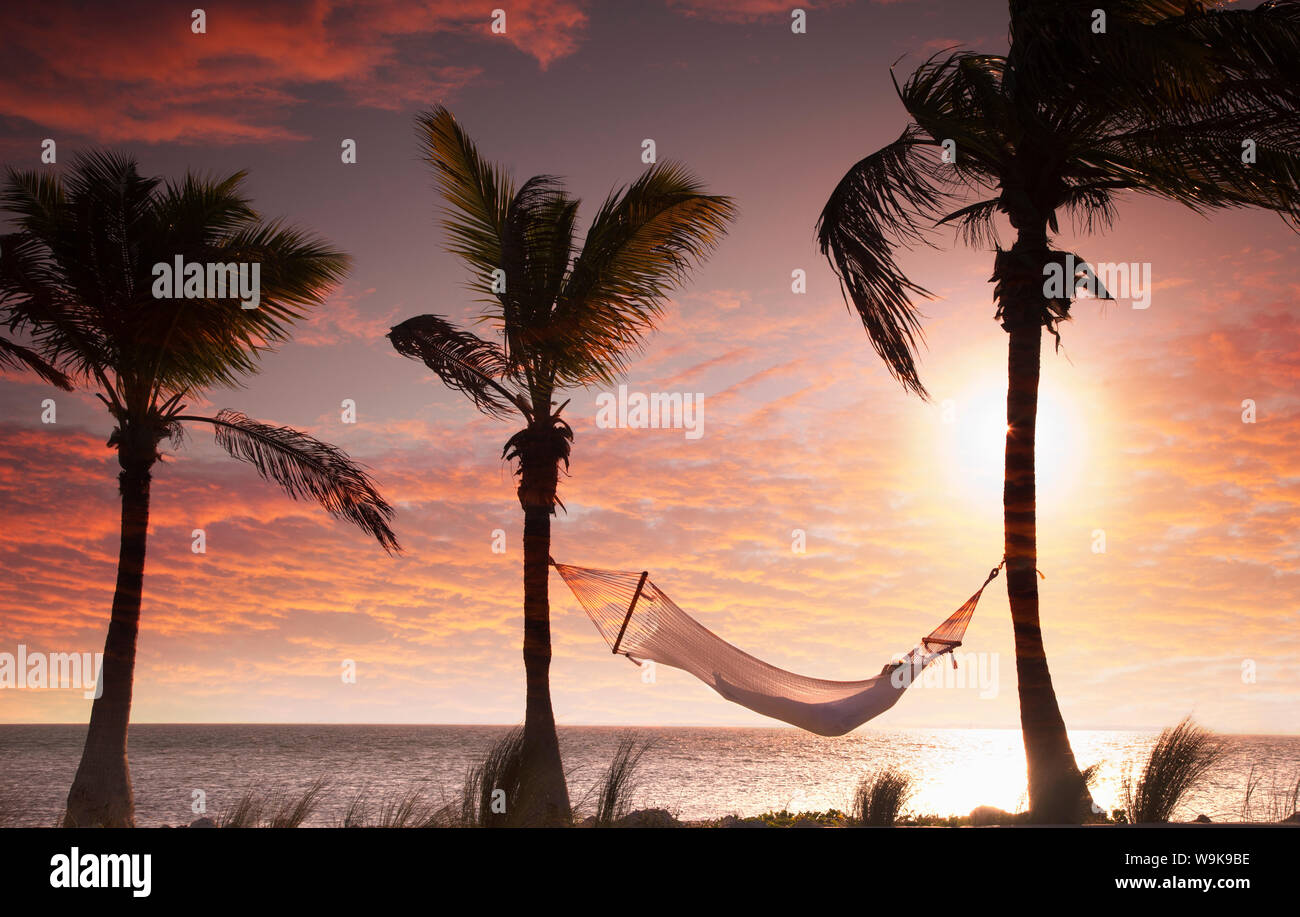 Woman in a hammock on the beach, Florida, United States of America, North America Stock Photo