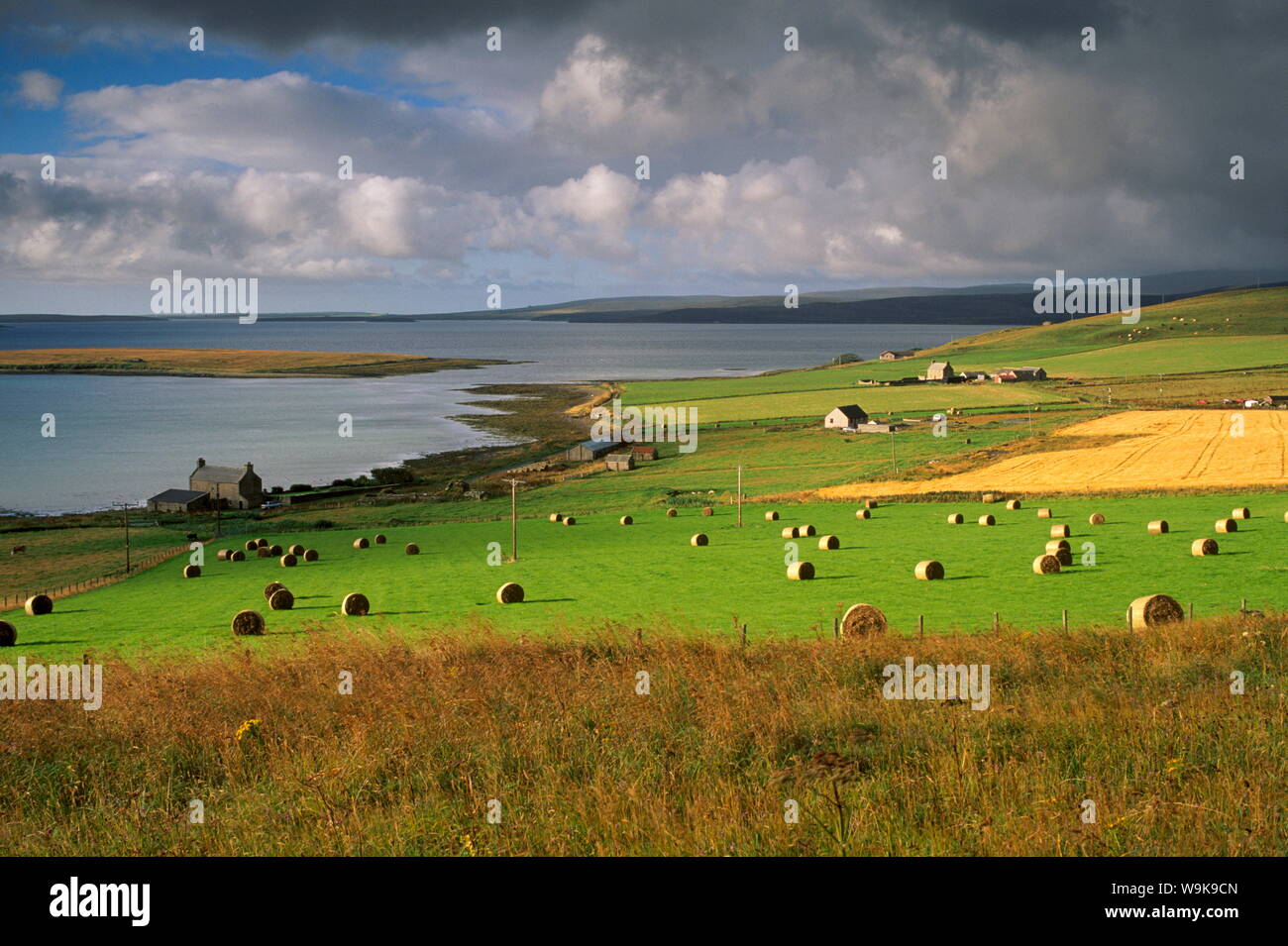 Farmland at Houton, Mainland, Orkney Islands, Scotland, United Kingdom, Europe Stock Photo