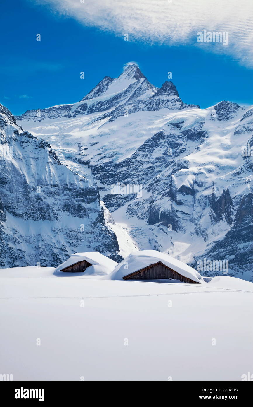 Partially buried buildings on the ski slopes in front of the Schreckhorn mountain, Grindelwald, Jungfrau region, Bernese Oberland, Switzerland Stock Photo