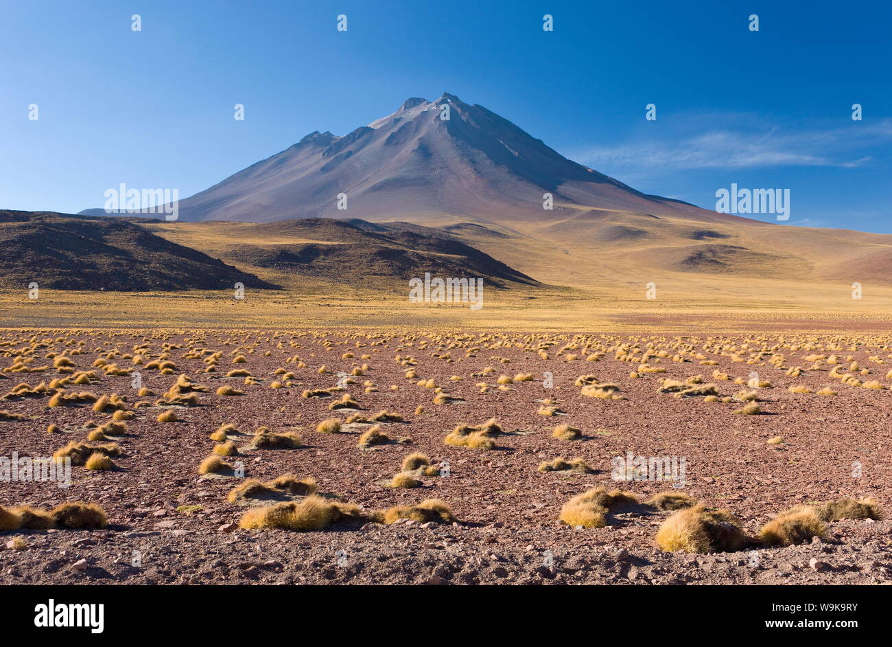 The altiplano and the peak of Cerro Miniques, Los Flamencos National Reserve, Atacama Desert, Antofagasta Region, Norte Grande, Chile Stock Photo