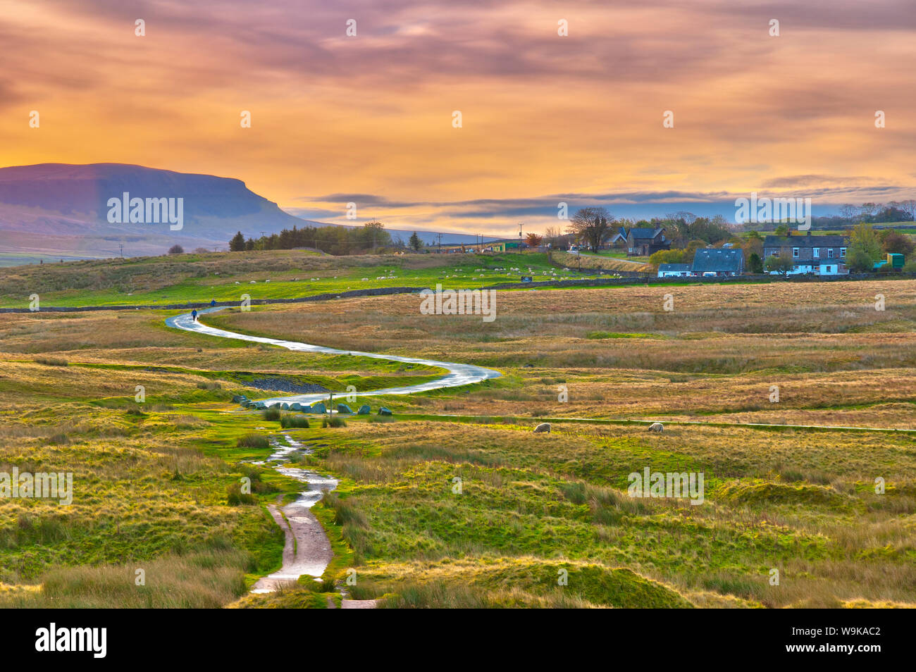 Penyghent one of the Yorkshire Three Peaks, Ribble Valley, Yorkshire Dales National Park