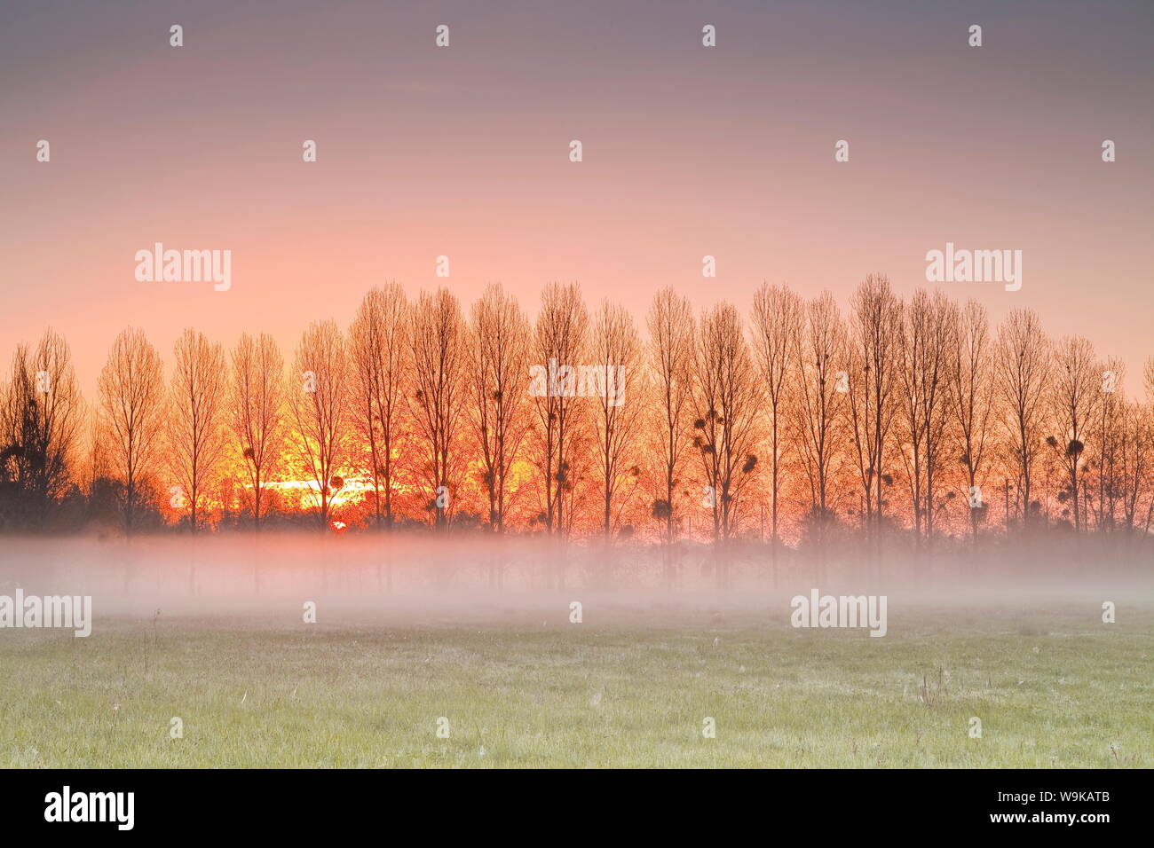 The morning sun lights up a band of mist, Indre-et-Loire, Centre, France, Europe Stock Photo