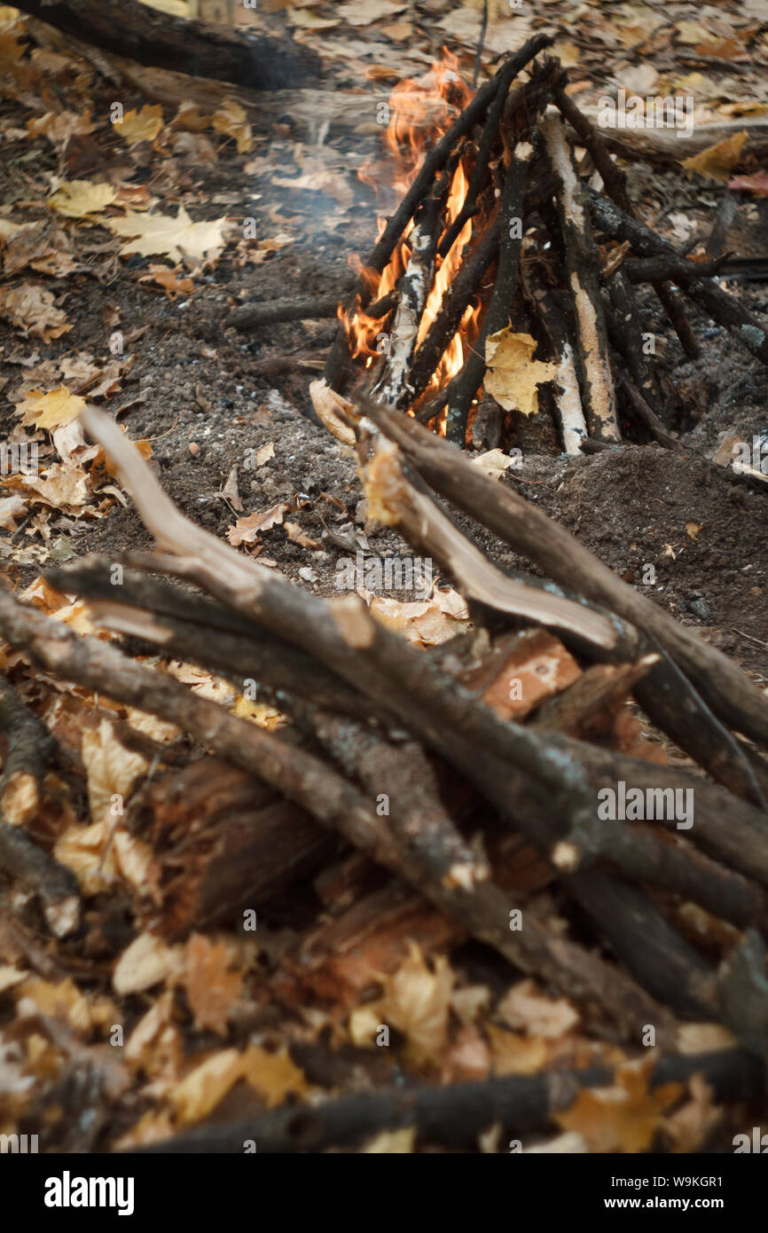 Campfire burning log wood twigs hi-res stock photography and images - Alamy