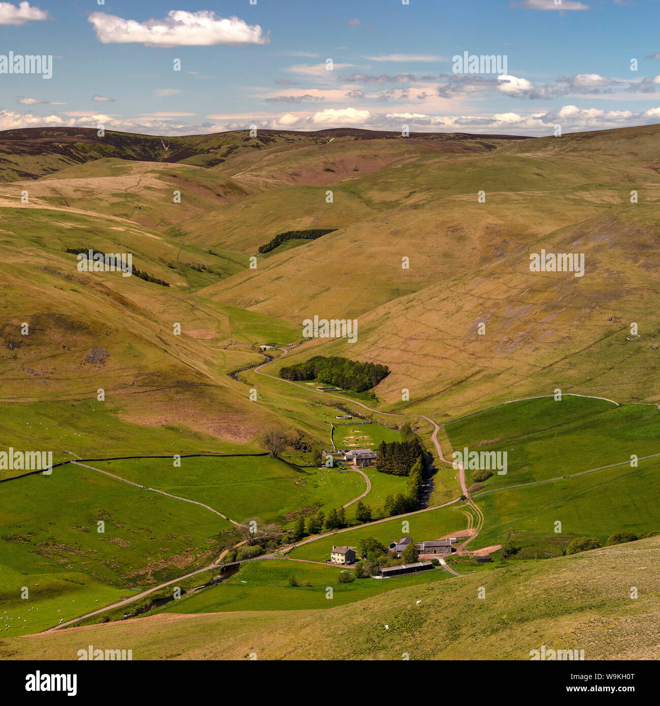 Landscape views in Spring in Upper Coquetdale near Shilmoor, Northumberland National Park, Northumberland, England, United Kingdom Stock Photo