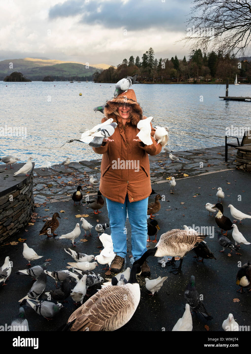 Covered in Birds Stock Photo Alamy