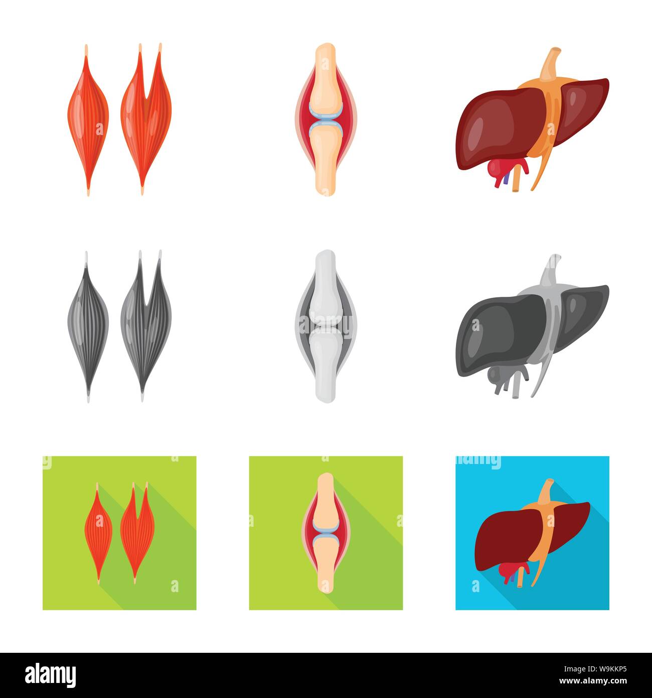 Vector Vectors Stock Vector Image & Art - Alamy