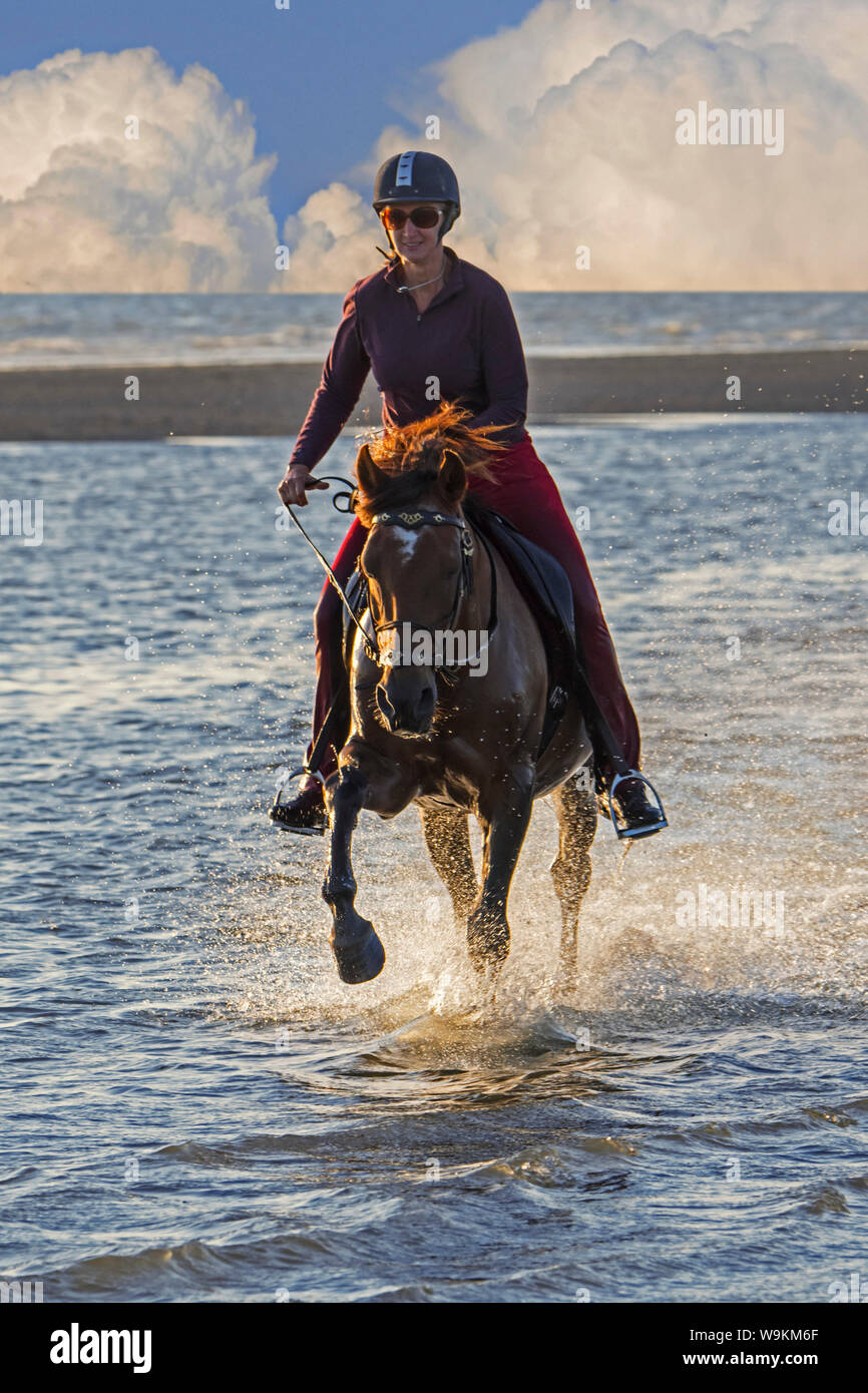 Horsewoman / female horse rider on horseback galloping through water on the beach with approaching thunderstorm Stock Photo