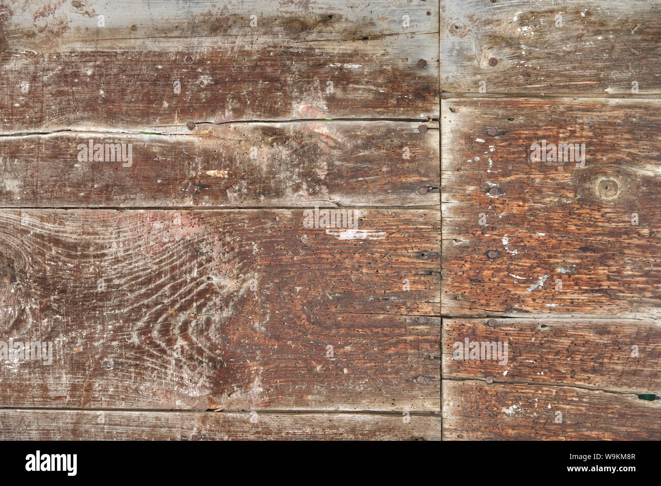Wooden background and texture with some termite infestation. Rustic backdrop with framed empty copy space Stock Photo