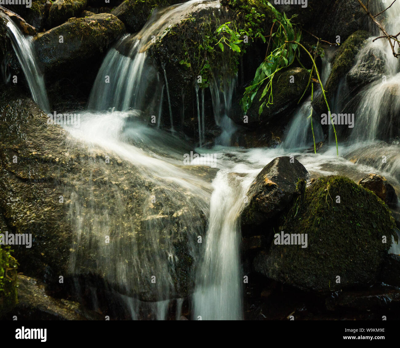 Waterfalls and babbling brook in Copy Woods Derbyshire, UK Stock Photo