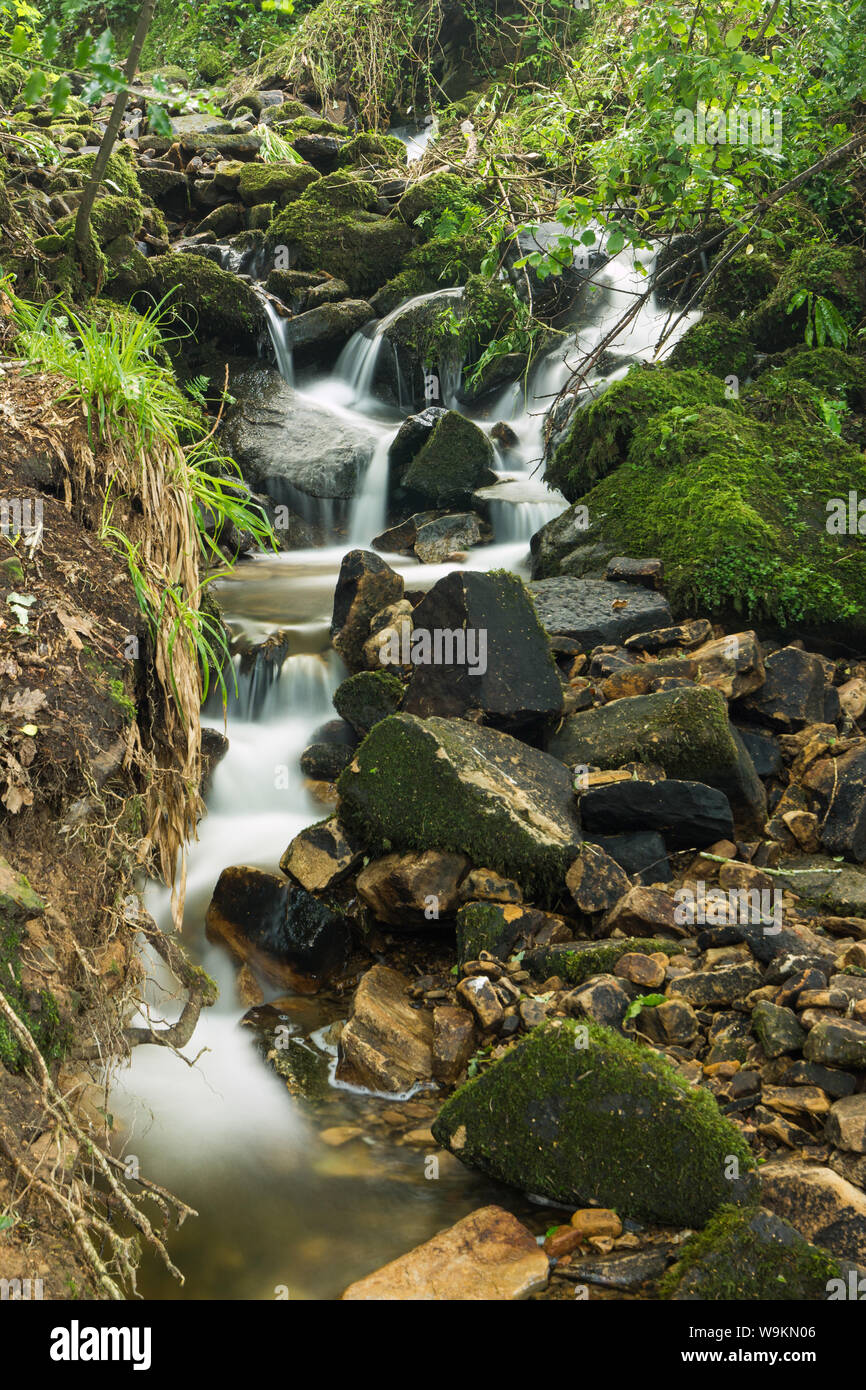 Waterfalls and babbling brook in Copy Woods Derbyshire, UK Stock Photo