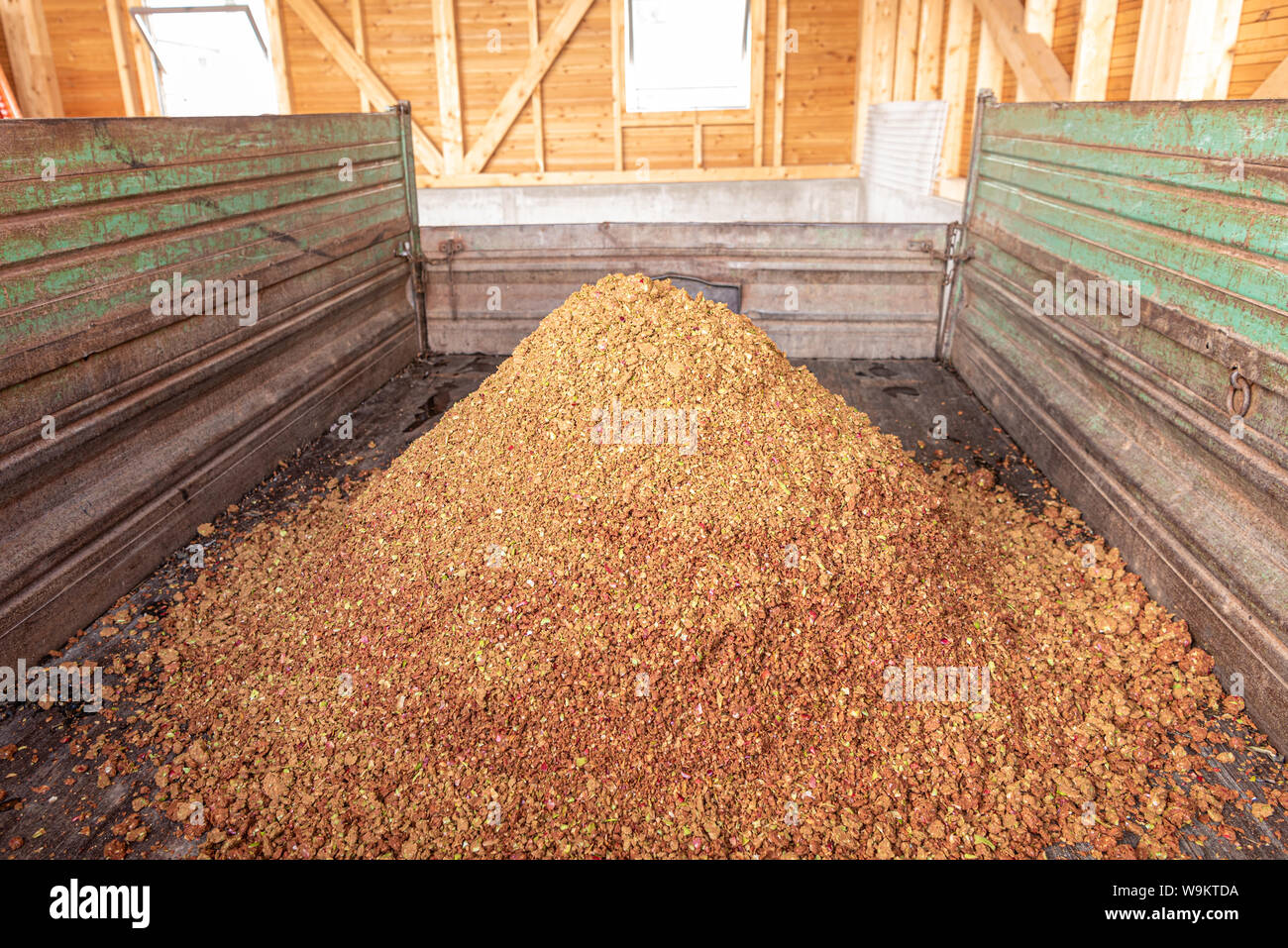 A lot of Apple pomace - By-product is produced when pressing apple juice and we use it for feeding wild game in the winter months. Stock Photo