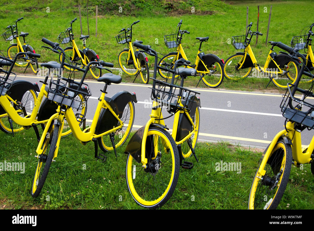 yellow bike hire