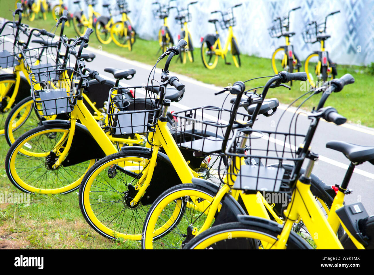 yellow bike hire