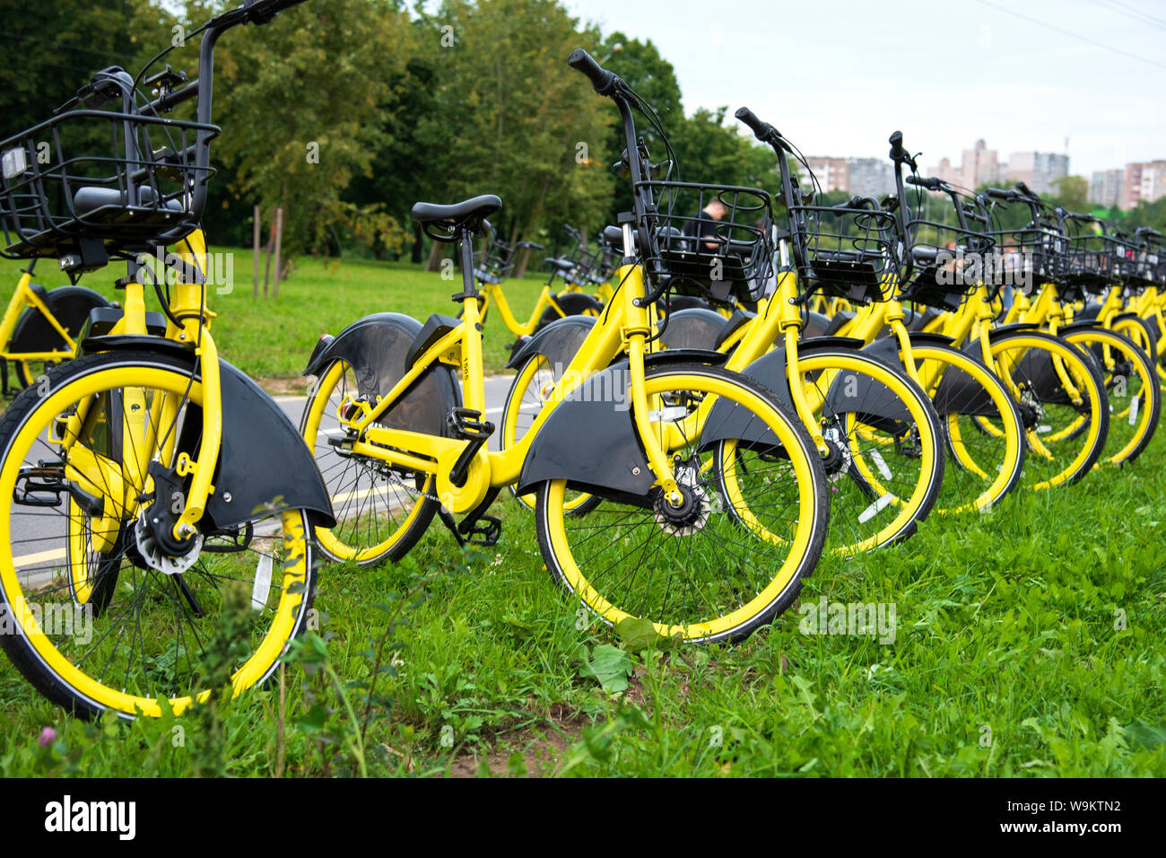 yellow bike hire