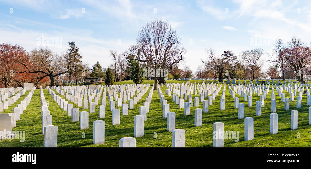 A picture of the Arlington National Cemetery Stock Photo - Alamy
