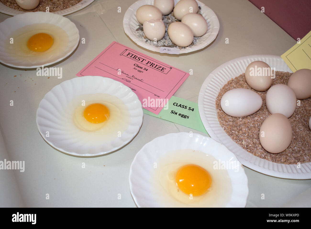 UK village show, free range eggs first prize certificate 2019. Eggs are cracked open and displayed in a white saucer and also a group of five unbroken eggs. Village produce displayed in the village hall. English country life. Brompton Ralph Somerset.  2010s England HOMER SYKES Stock Photo