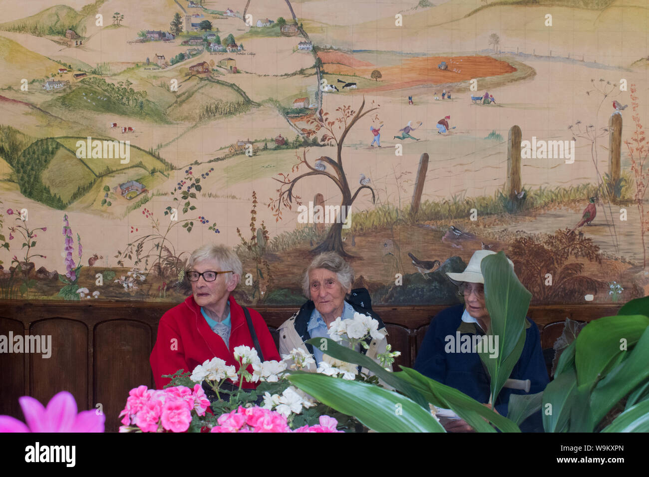 Village flower show 2010s UK.  Senior ladies women at a community event Brompton Ralph, Somerset 2019 . Painting on the village hall wall is of their community  in the West Country England HOMER SYKES Stock Photo