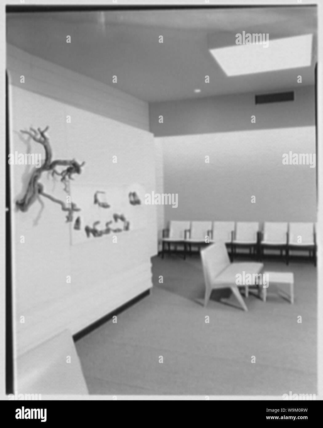 Ansonia Shoes, business at 110 E. Franklin Ave., Hempstead, Long Island