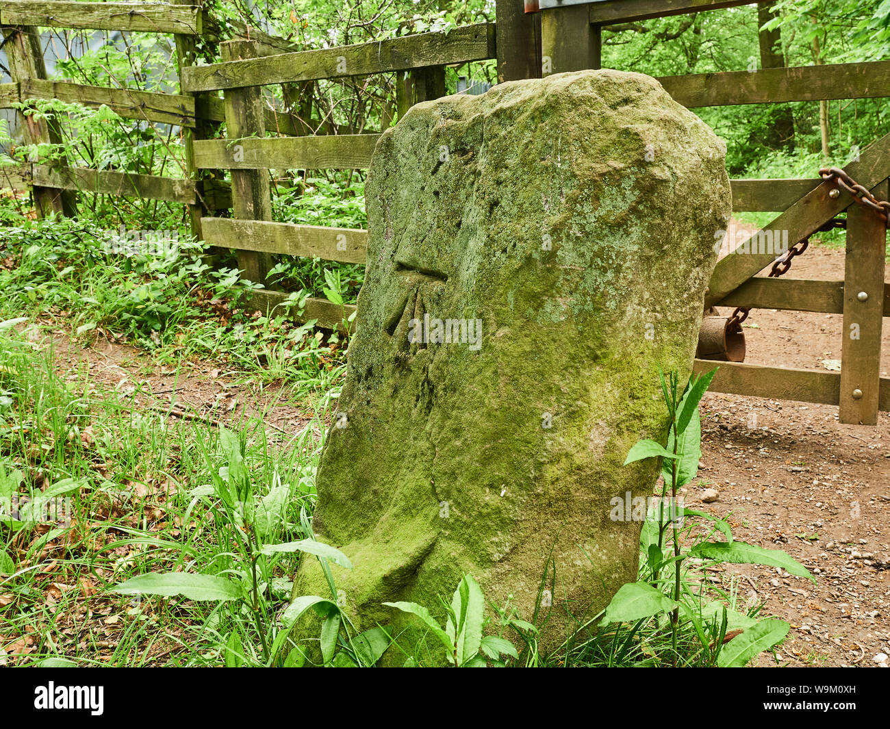 An Ordnance Survey surveyors benchmark carved in to a rock at the side of a footpath above Grosmont in North Yorkshire Stock Photo