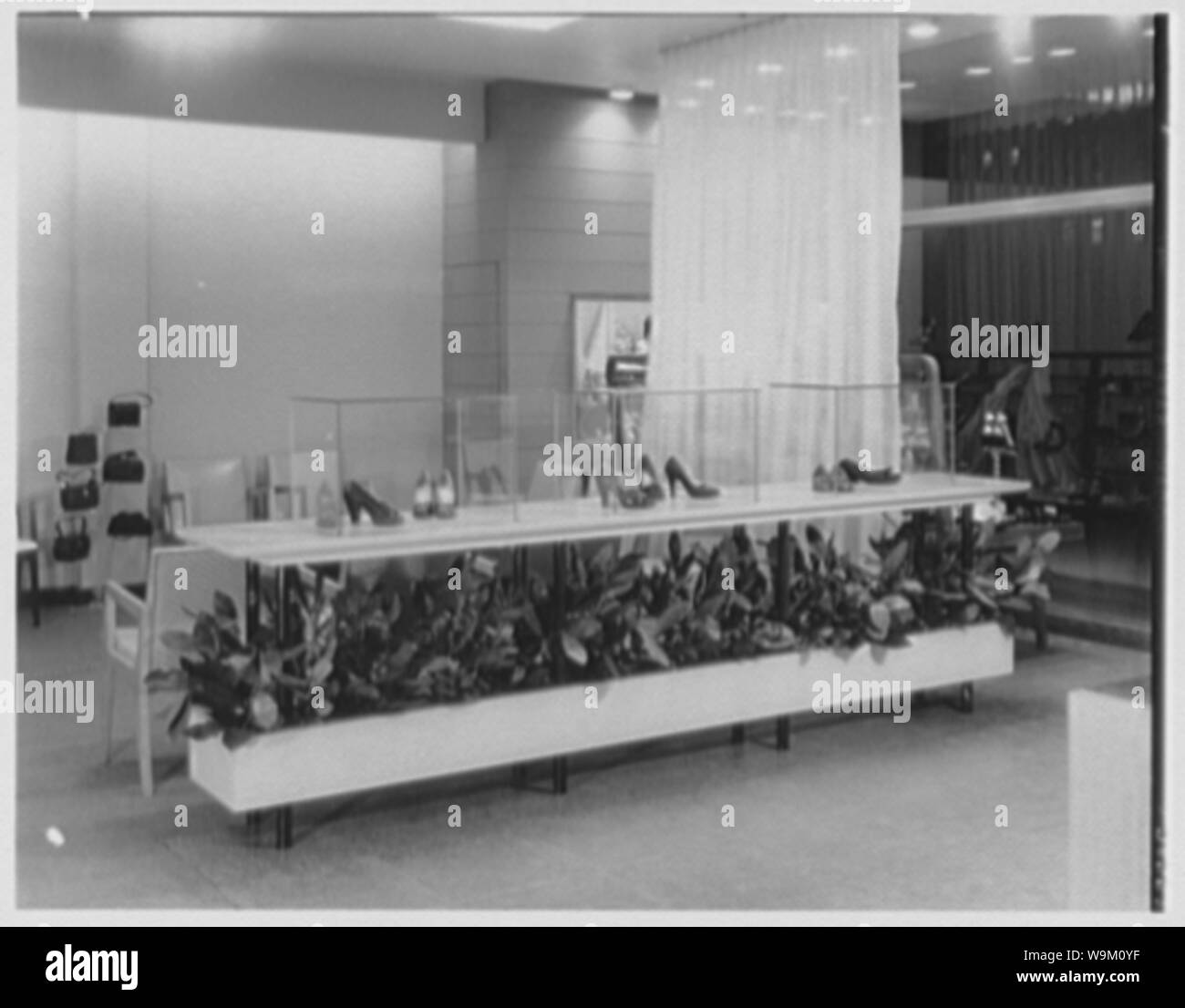 Ansonia Shoes, business at 110 E. Franklin Ave., Hempstead, Long Island