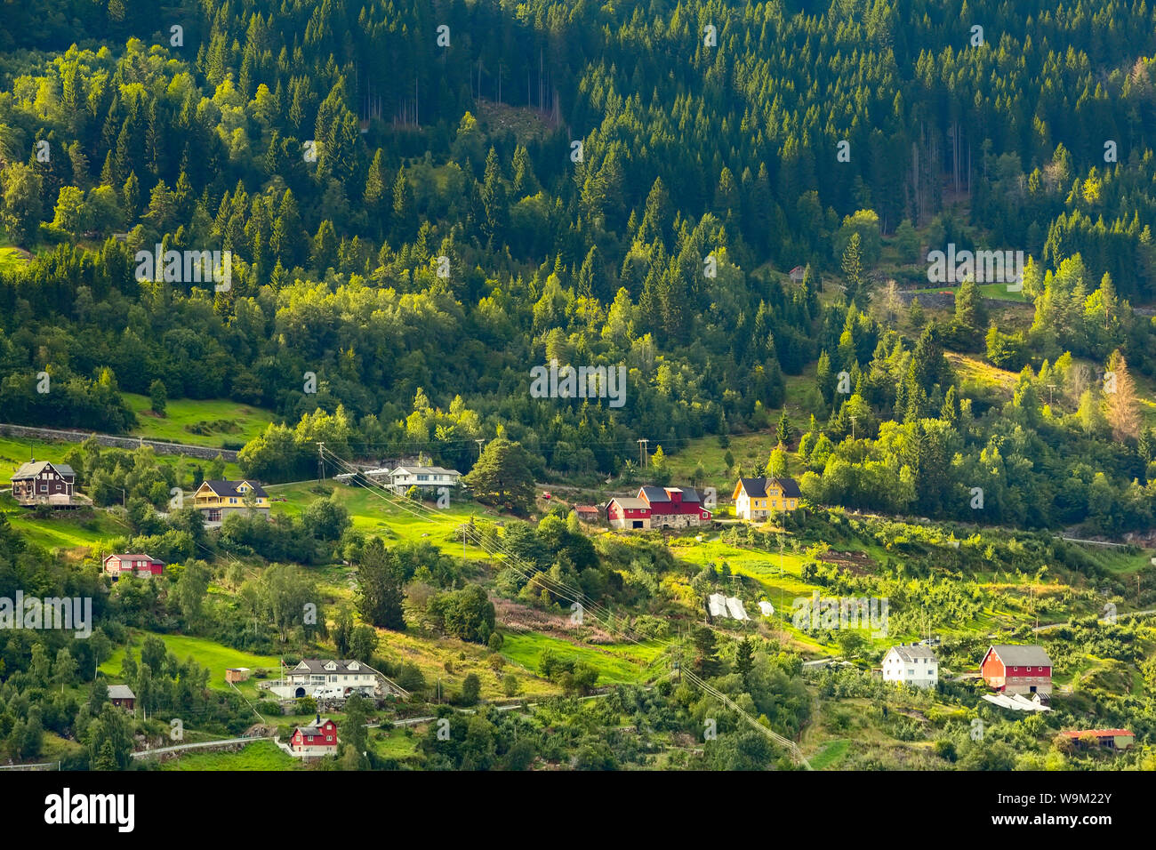 Norwegian village summer panoramic landscape near fjord, green forest ...