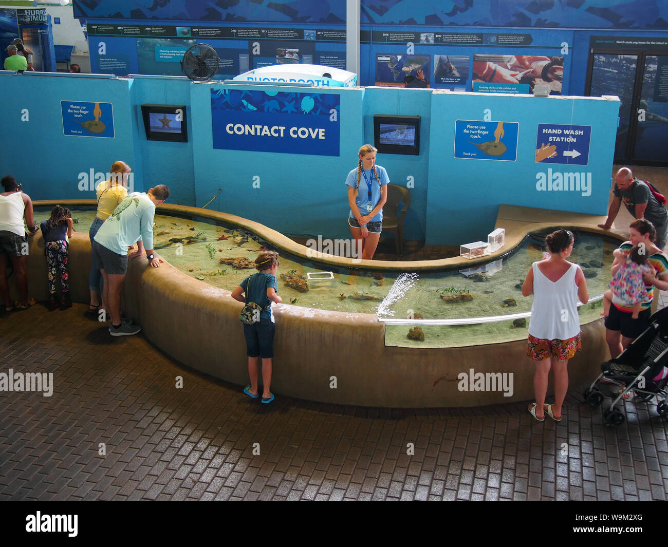 Mote marine laboratory and aquarium hires stock photography and images