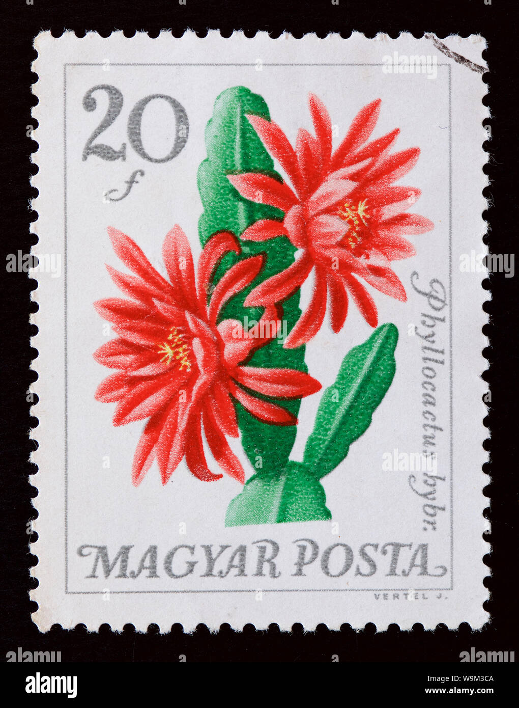 Hungary Postage Stamp - Flowers Stock Photo - Alamy