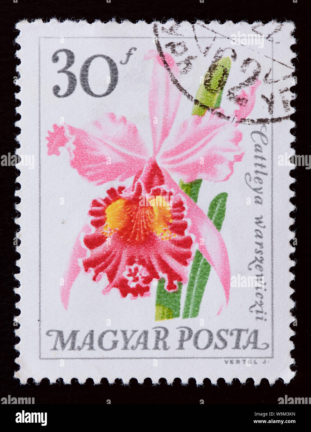 Hungary Postage Stamp - Flowers Stock Photo - Alamy