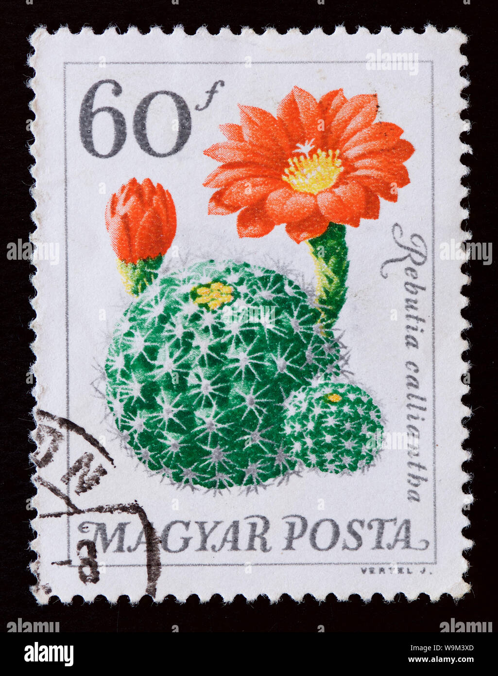 Hungary Postage Stamp - Flowers Stock Photo - Alamy