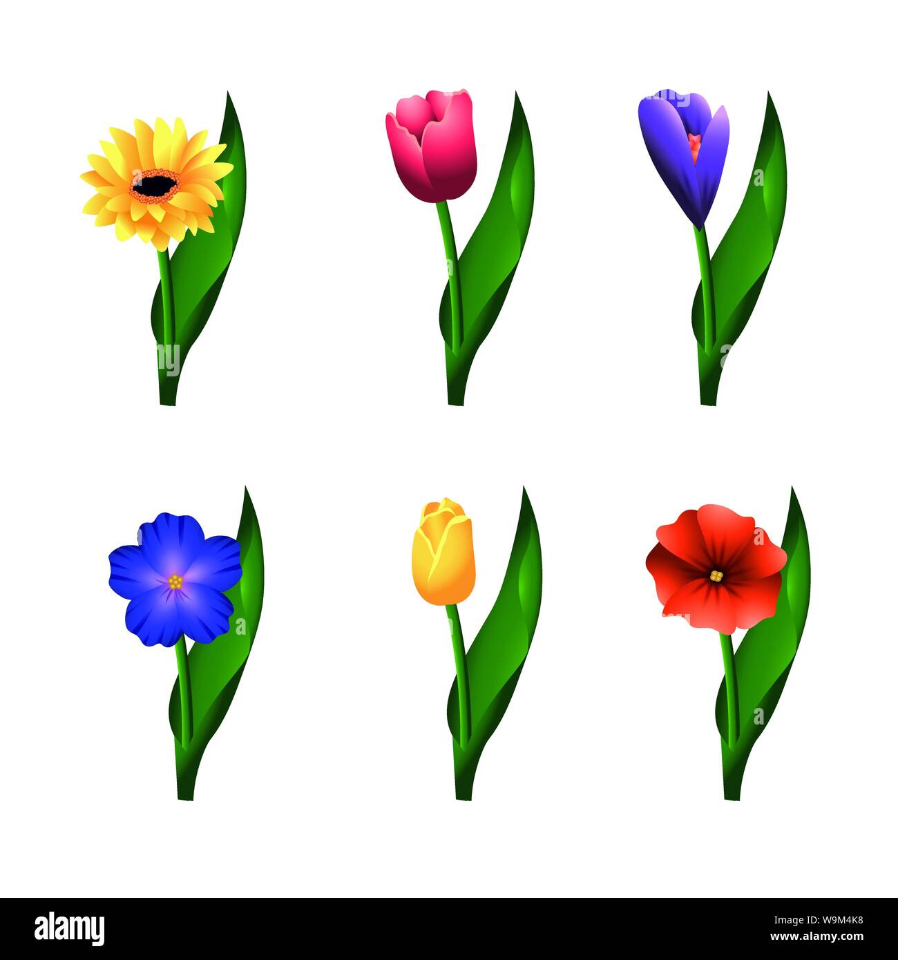 set roses and flowers plants with leaves vector illustration Stock ...